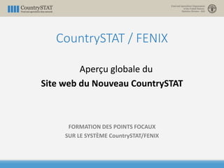 CountrySTAT / FENIX
Aperçu globale du
Site web du Nouveau CountrySTAT
FORMATION DES POINTS FOCAUX
SUR LE SYSTÈME CountrySTAT/FENIX
 