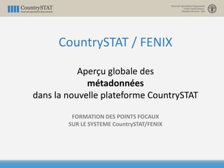 CountrySTAT / FENIX
Aperçu globale des
métadonnées
dans la nouvelle plateforme CountrySTAT
FORMATION DES POINTS FOCAUX
SUR LE SYSTEME CountrySTAT/FENIX
 