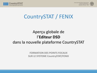 Aperçu globale de
l’Editeur DSD
dans la nouvelle plateforme CountrySTAT
FORMATION DES POINTS FOCAUX
SUR LE SYSTEME CountrySTAT/FENIX
CountrySTAT / FENIX
 
