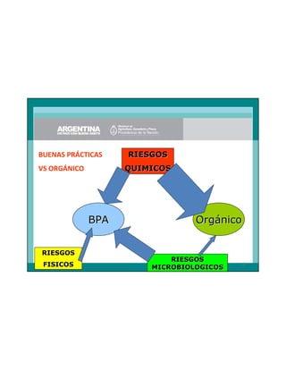 BUENAS PRÁCTICAS

RIESGOS
QUIMICOS

VS ORGÁNICO

BPA

Orgánico

RIESGOS
FISICOS

RIESGOS
MICROBIOLOGICOS

12

 