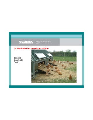 5- Promueve el bienestar animal

Espacio
Conducta
Trato

9

 