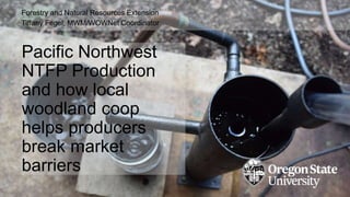 Pacific Northwest
NTFP Production
and how local
woodland coop
helps producers
break market
barriers
Forestry and Natural Resources Extension
Tiffany Fegel, MWM/WOWNet Coordinator
 