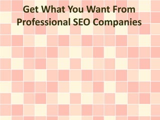 Get What You Want From
Professional SEO Companies
 
