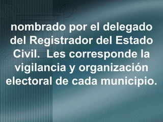 nombrado por el delegado del Registrador del Estado Civil.  Les corresponde la vigilancia y organización electoral de cada municipio.