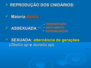    REPRODUÇÃO DOS CNIDÁRIOS:

    Maioria dióica.
                       REGENERAÇÃO
    ASSEXUADA         BROTAMENTO
                       ESTROBILIZAÇÃO


    SEXUADA: alternância de gerações
    (Obelia sp e Aurelia sp).
 