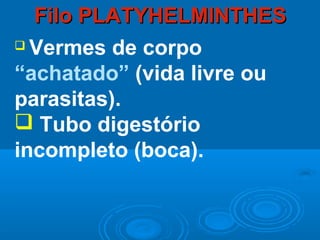 Filo PLATYHELMINTHES
 Vermes de corpo

“achatado” (vida livre ou
parasitas).
 Tubo digestório
incompleto (boca).
 