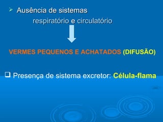    Ausência de sistemas
         respiratório e circulatório



 VERMES PEQUENOS E ACHATADOS (DIFUSÃO)


 Presença de sistema excretor: Célula-flama
 