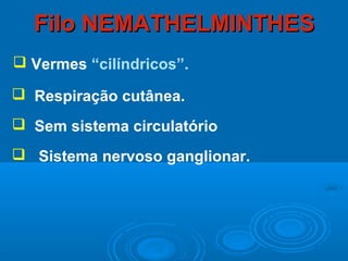 Filo NEMATHELMINTHES
 Vermes “cilíndricos”.

 Respiração cutânea.
 Sem sistema circulatório
 Sistema nervoso ganglionar.
 