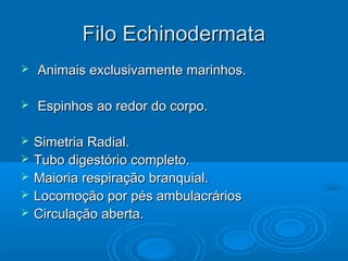 Filo Echinodermata
   Animais exclusivamente marinhos.

   Espinhos ao redor do corpo.

   Simetria Radial.
   Tubo digestório completo.
   Maioria respiração branquial.
   Locomoção por pés ambulacrários
   Circulação aberta.
 
