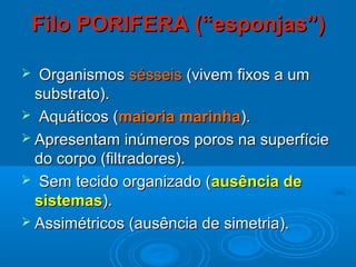 Filo PORIFERA (“esponjas”)

  Organismos sésseis (vivem fixos a um
  substrato).
 Aquáticos (maioria marinha).
 Apresentam inúmeros poros na superfície
  do corpo (filtradores).
 Sem tecido organizado (ausência de
  sistemas).
 Assimétricos (ausência de simetria).
 