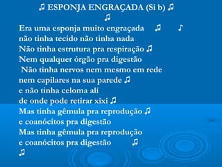 ♫ ESPONJA ENGRAÇADA (Si b) ♫
                        ♫
Era uma esponja muito engraçada ♫    ♪
não tinha tecido não tinha nada
Não tinha estrutura pra respiração ♫
Nem qualquer órgão pra digestão
 Não tinha nervos nem mesmo em rede
nem capilares na sua parede ♫
e não tinha celoma alí
de onde pode retirar xixi ♫
Mas tinha gêmula pra reprodução ♫
e coanócitos pra digestão
Mas tinha gêmula pra reprodução
e coanócitos pra digestão      ♫
♫
 