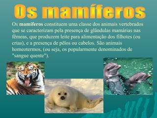 Os mamíferos constituem uma classe dos animais vertebrados
que se caracterizam pela presença de glândulas mamárias nas
fêmeas, que produzem leite para alimentação dos filhotes (ou
crias), e a presença de pêlos ou cabelos. São animais
homeotermos, (ou seja, os popularmente denominados de
"sangue quente").
 