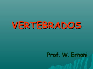 VERTEBRADOSVERTEBRADOS
Prof. W. ErnaniProf. W. Ernani
 