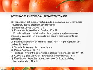 ACTIVIDADES EN TORNO AL PROYECTO TOMATE:
a) Preparación del terreno y refuerzo de la estructura del invernadero
(Nivelación, abono orgánico, desinfección)
Estudiantes de los grados 10 y 11.
b) Plantación de semilleros: Grados: 10 – 11.
En esta actividad participan los otros grados que observarán el
proceso y ayudarán en el cuidado del riego y mantenimiento del
semillero.
c) Establecimiento del sistema de riego. 10 – 11 y participación de
padres de familia.
d) Trasplante: A cargo de: Los mismos.
e) Podas. Aporque: 10 - 11
f) Fertilización y control de arvenses, plagas y enfermedades: 10 - 11
g) Cosecha y pos cosecha: Evaluación de resultados: 10 - 11
h) Resultados: Aspectos productivos, económicos, sociales,
nutricionales, etc.: 10 - 11
 
