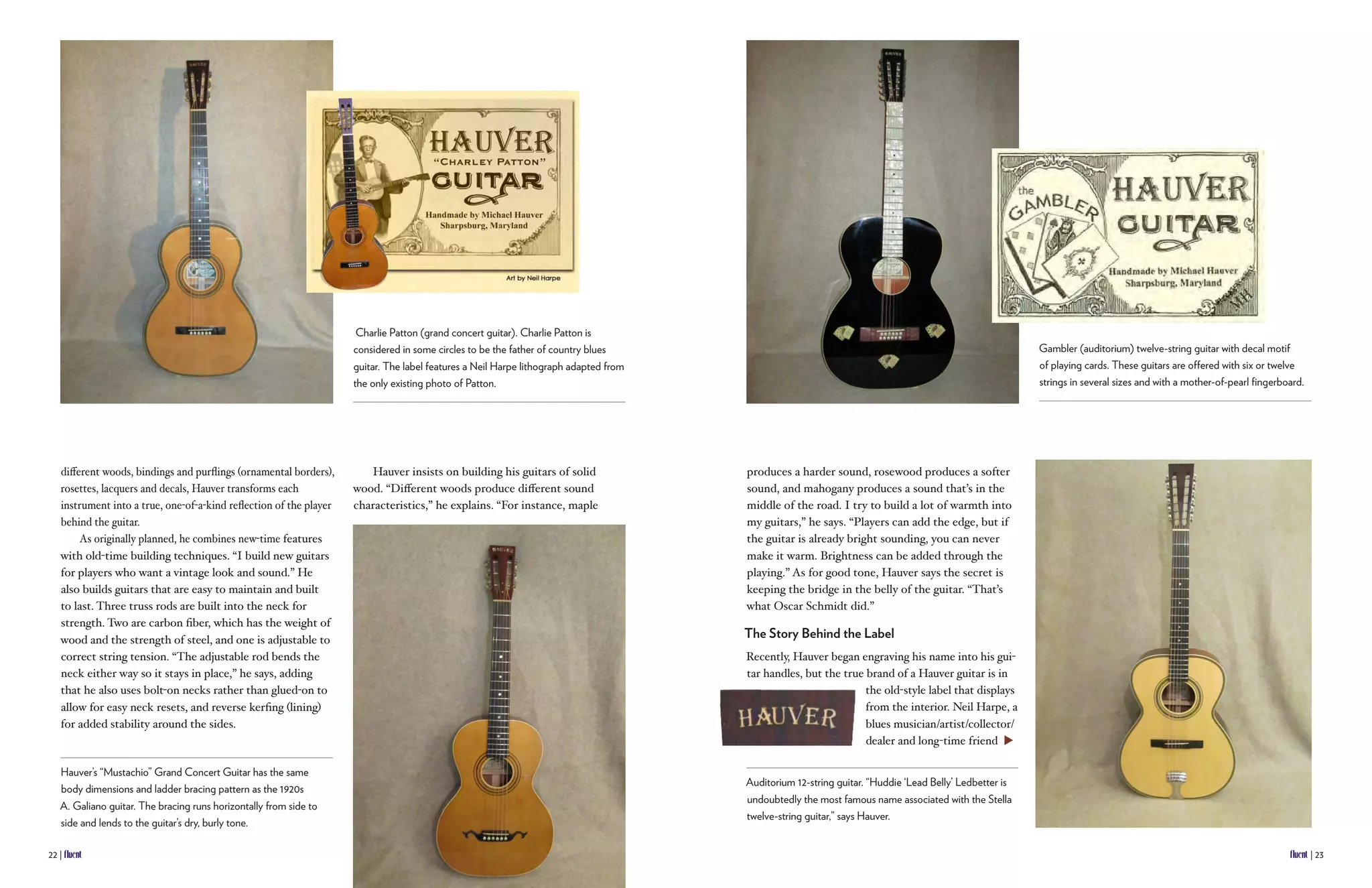 Fluent_Spring_2014-Hauver | PDF