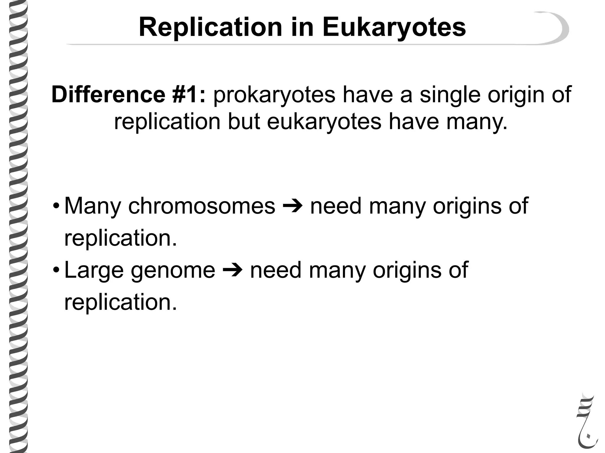 Replication in Eukaryotes
Difference #1: prokaryotes have a single origin of
replication but eukaryotes have many.
• Many chromosomes ➔ need many origins of
replication.
• Large genome ➔ need many origins of
replication.
 