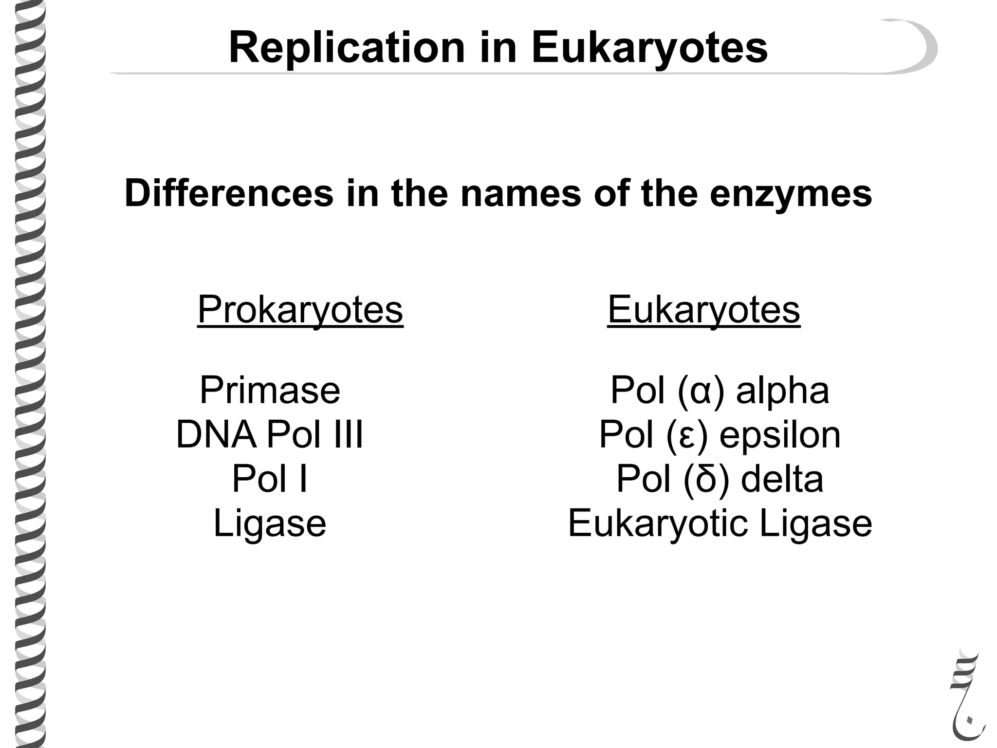 Replication in Eukaryotes
Differences in the names of the enzymes
Prokaryotes Eukaryotes
Primase
DNA Pol III
Pol I
Ligase
Pol (α) alpha
Pol (ε) epsilon
Pol (δ) delta
Eukaryotic Ligase
 