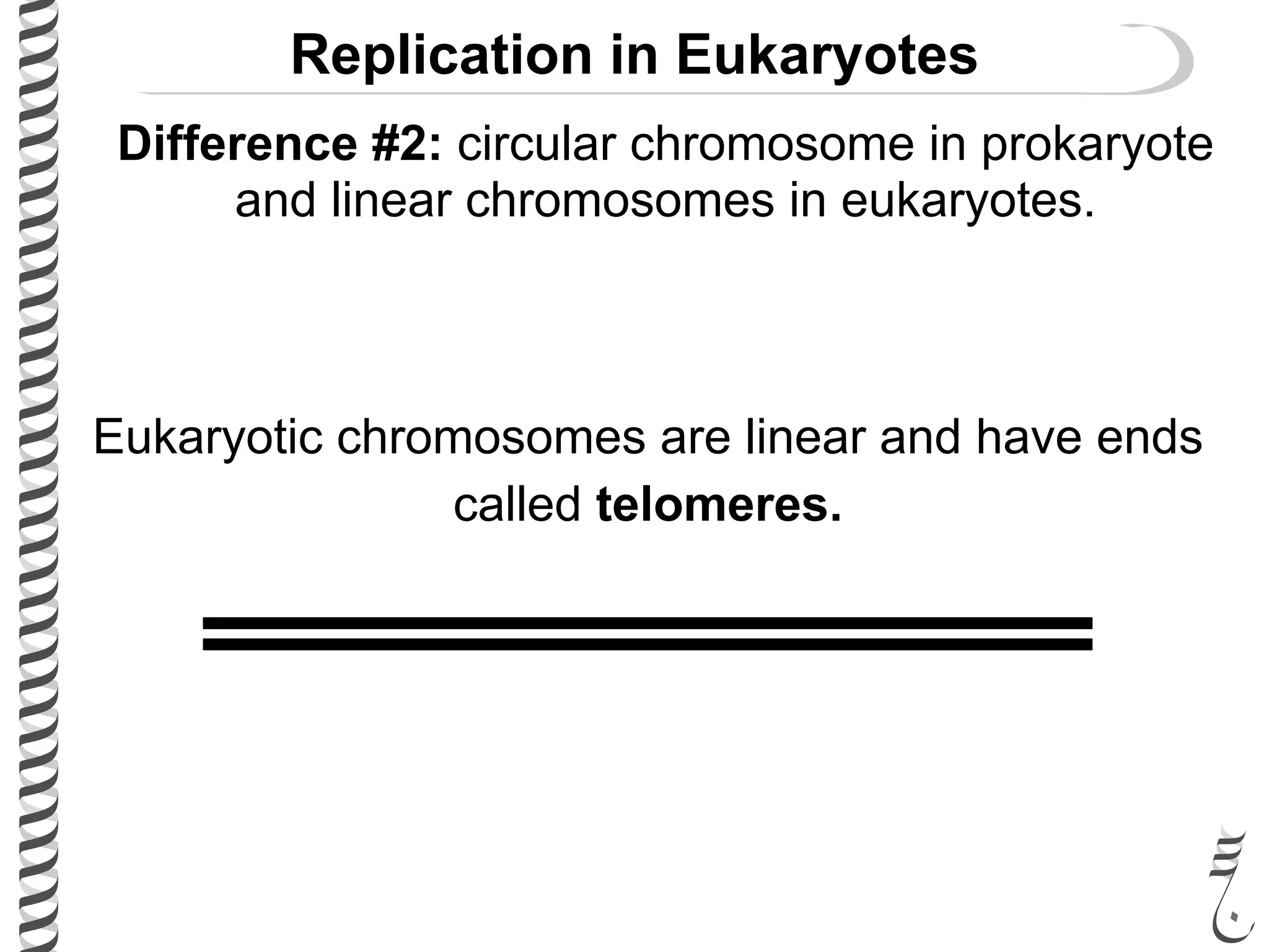 Replication in Eukaryotes
Difference #2: circular chromosome in prokaryote
and linear chromosomes in eukaryotes.
Eukaryotic chromosomes are linear and have ends
called telomeres.
 