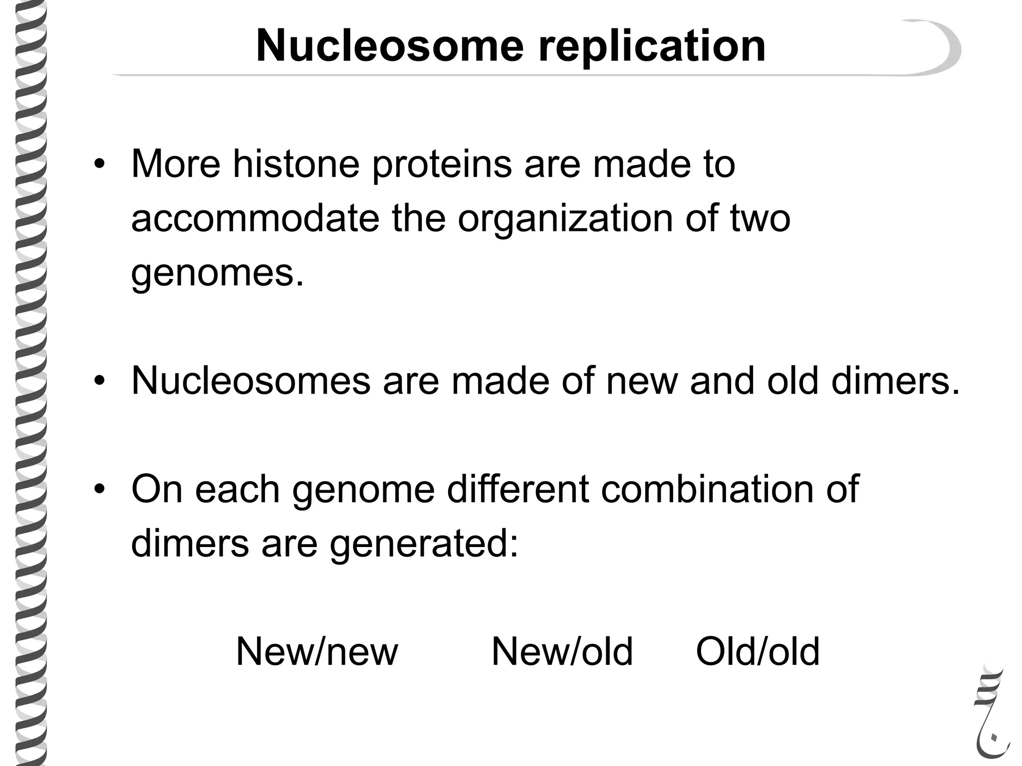 Nucleosome replication
• More histone proteins are made to
accommodate the organization of two
genomes.
• Nucleosomes are made of new and old dimers.
• On each genome different combination of
dimers are generated:
New/new New/old Old/old
 