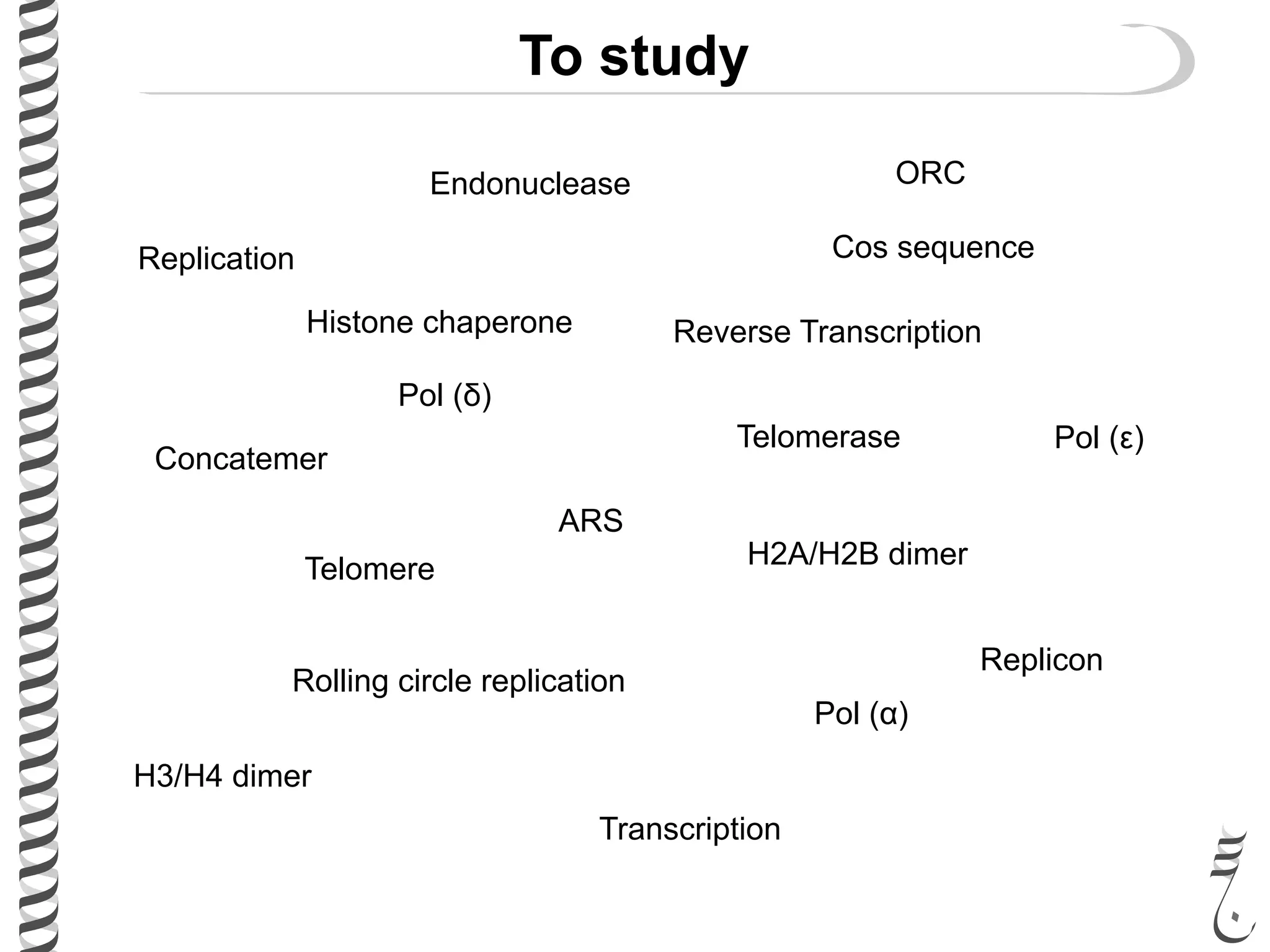 To study
Histone chaperone
Telomere
Telomerase
Pol (α)
Pol (ε)
Pol (δ)
Rolling circle replication
Cos sequence
Endonuclease
Concatemer
H2A/H2B dimer
H3/H4 dimer
Replication
Transcription
Reverse Transcription
Replicon
ARS
ORC
 
