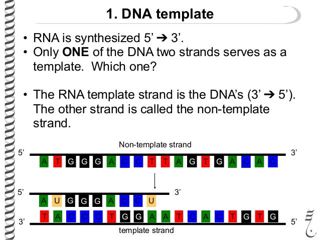 281 Lec12 Transcription 281 Lec12 Transcription