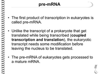 281 lec14 eukaryptic_transcription | PDF