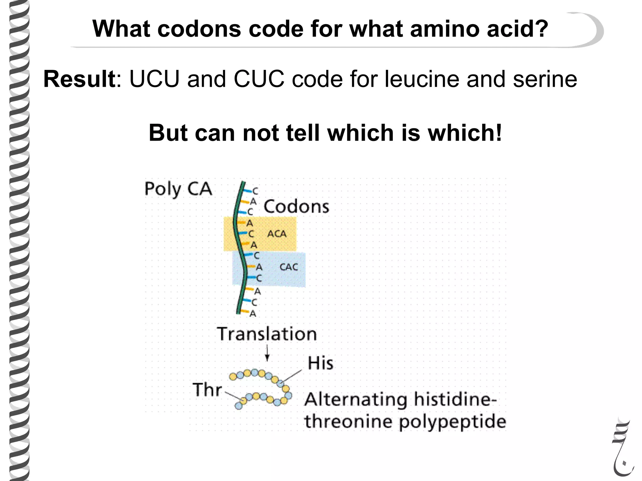 Result: UCU and CUC code for leucine and serine
But can not tell which is which!
What codons code for what amino acid?
 