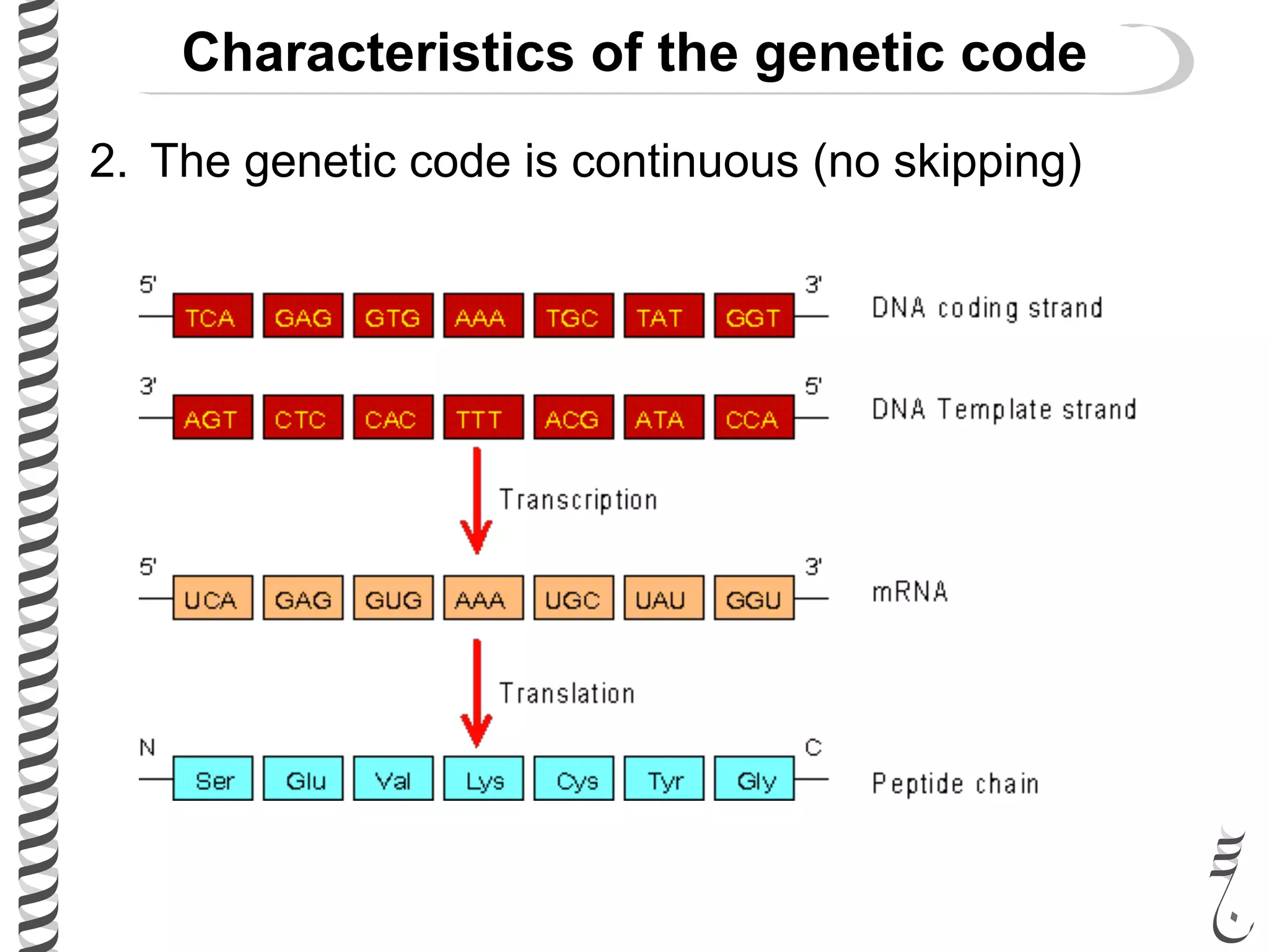 Characteristics of the genetic code
2. The genetic code is continuous (no skipping)
 