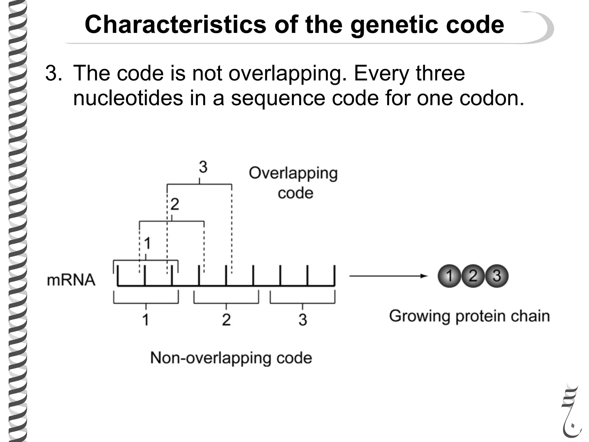 Characteristics of the genetic code
3. The code is not overlapping. Every three
nucleotides in a sequence code for one codon.
 