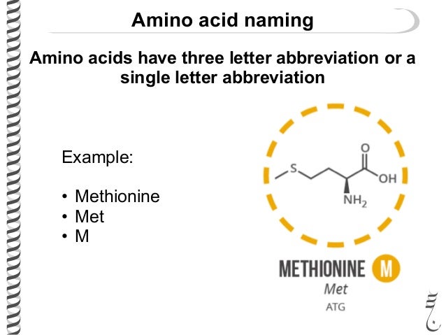 281 lec16 amino_acidsproteins amino acid letter chart