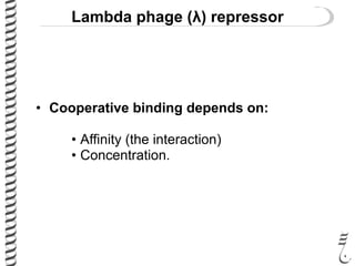 Lambda phage (λ) repressor
• Cooperative binding depends on:
• Affinity (the interaction)
• Concentration.
 