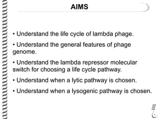 AIMS
• Understand the life cycle of lambda phage.
• Understand the general features of phage
genome.
• Understand the lambda repressor molecular
switch for choosing a life cycle pathway.
• Understand when a lytic pathway is chosen.
• Understand when a lysogenic pathway is chosen.
 