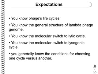 Expectations
• You know phage’s life cycles.
• You know the general structure of lambda phage
genome.
• You know the molecular switch to lytic cycle.
• You know the molecular switch to lysogenic
cycle.
• you generally know the conditions for choosing
one cycle versus another.
 