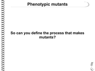 Phenotypic mutants
So can you define the process that makes
mutants?
 