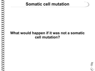 Somatic cell mutation
What would happen if it was not a somatic
cell mutation?
 