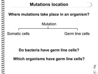 Mutations location
Mutation
Somatic cells Germ line cells
Where mutations take place in an organism?
Do bacteria have germ line cells?
Which organisms have germ line cells?
 