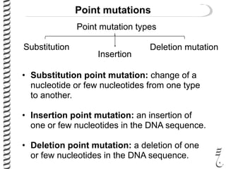 Point Mutation Example