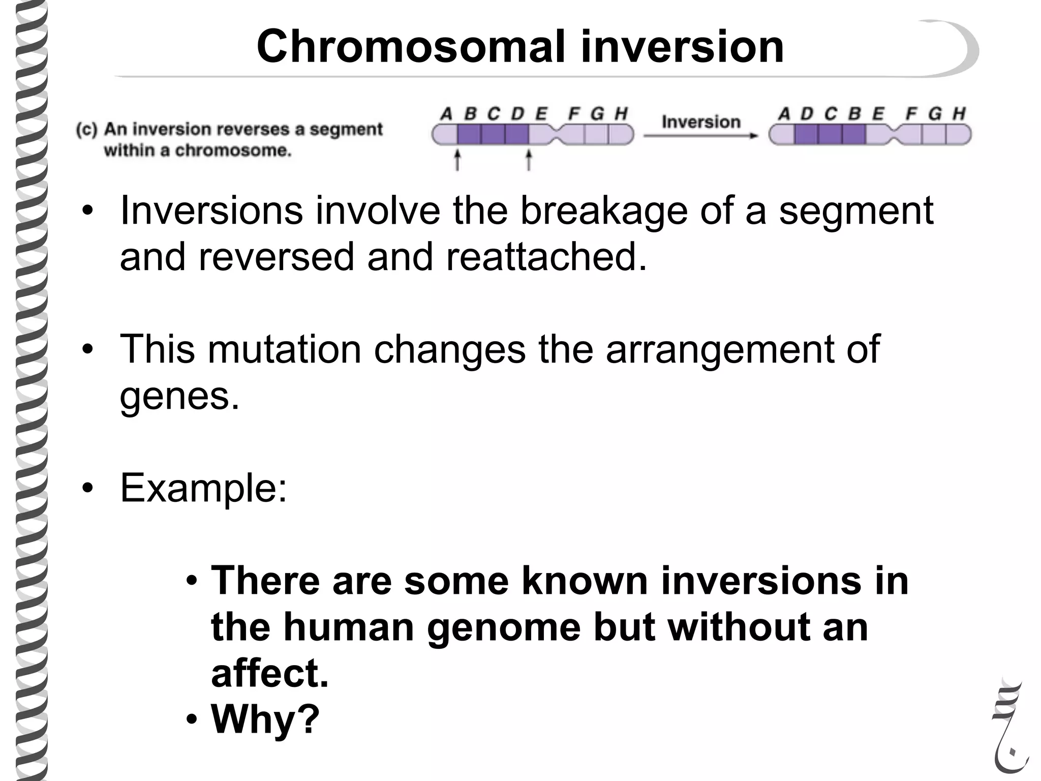 281 lec28 chromosomal_mutations | PDF
