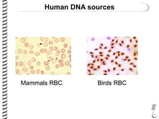 Mammals RBC Birds RBC
Human DNA sources
 