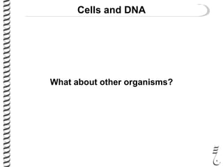 Cells and DNA
What about other organisms?
 