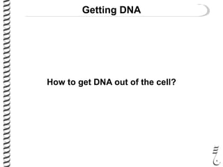 Getting DNA
How to get DNA out of the cell?
 