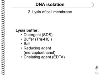 DNA isolation
Lysis buffer:
• Detergent (SDS)
• Buffer (Tris-HCl)
• Salt
• Reducing agent
(mercaptoethanol)
• Chelating agent (EDTA)
2. Lysis of cell membrane
 