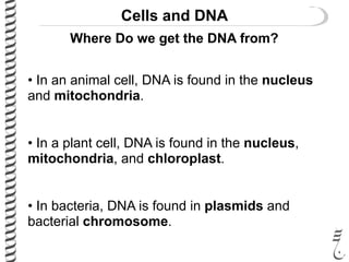 Cells and DNA
• In an animal cell, DNA is found in the nucleus
and mitochondria.
• In a plant cell, DNA is found in the nucleus,
mitochondria, and chloroplast.
• In bacteria, DNA is found in plasmids and
bacterial chromosome.
Where Do we get the DNA from?
 