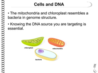 Cells and DNA
• The mitochondria and chloroplast resembles a
bacteria in genome structure.
• Knowing the DNA source you are targeting is
essential.
 