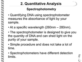 2. Quantitative Analysis
• Quantifying DNA using spectrophotometer
measures the absorbance of light by your
sample.
• At a specific wavelength (260nm – 280nm).
• The spectrophotometer is designed to give you
the quantity of DNA and can shed light on the
purity of your sample.
• Simple procedure and does not take a lot of
time.
• Spectrophotometers have different detection
limits.
Spectrophotometry
 
