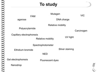 To study
agarose
Relative mobility
Relative mobility
Polyacrylamide
DNA charge
Ethidium bromide Silver staining
Fluorescent dyesGel electrophoresis
Capillary electrophoresis
UV light
NED
FAM VIC
Mutagen
Carcinogen
Spectrophotometer
Nanodrop
 
