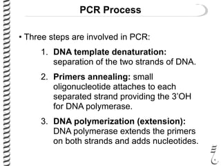 PCR Process
• Three steps are involved in PCR:
1. DNA template denaturation:
separation of the two strands of DNA.
2. Primers annealing: small
oligonucleotide attaches to each
separated strand providing the 3’OH
for DNA polymerase.
3. DNA polymerization (extension):
DNA polymerase extends the primers
on both strands and adds nucleotides.
 