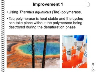 Improvement 1
• Using Thermus aquaticus (Taq) polymerase.
• Taq polymerase is heat stable and the cycles
can take place without the polymerase being
destroyed during the denaturation phase
 