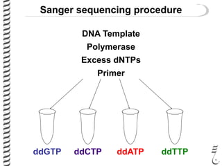 Sanger sequencing procedure
ddGTP ddCTP ddATP ddTTP
DNA Template
Polymerase
Excess dNTPs
Primer
 