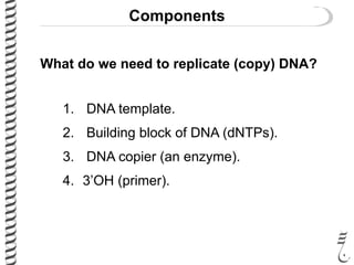 Components
What do we need to replicate (copy) DNA?
1. DNA template.
2. Building block of DNA (dNTPs).
3. DNA copier (an enzyme).
4. 3’OH (primer).
 